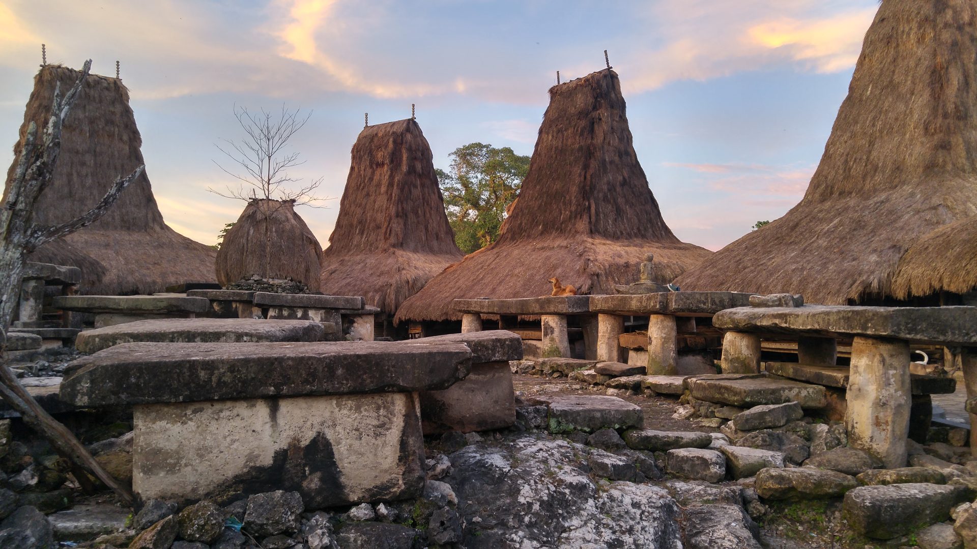 7 Tempat Rekomendasi Wisata Di Sumba Keindahan Alam Dan Budaya Yang