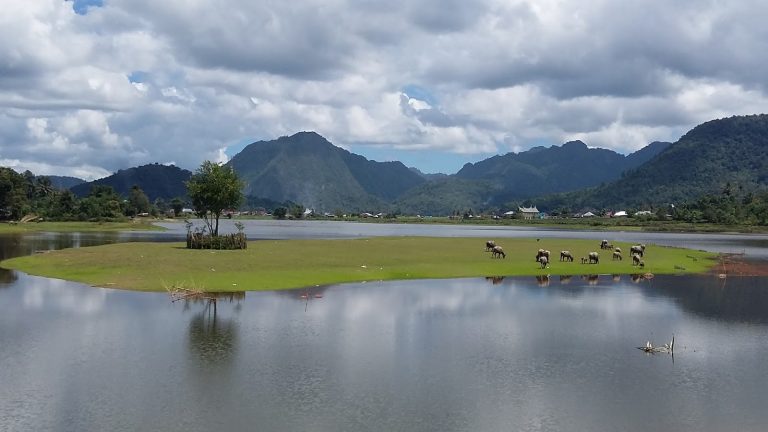 Pesona Danau Tarusan Kamang Yang Fenomenal