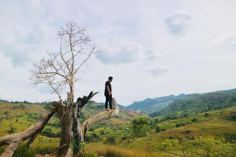 Bukit Teletubbies, Tempat Romantis di Jawa barat yang Buat Kamu Lupa