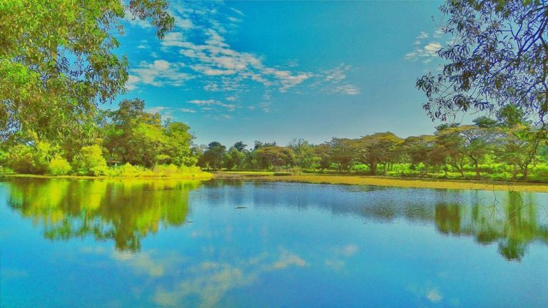 Danau Bekri Lampung Sebagai Destinasi Yang Recommended Untuk Relaksasi Dengan Suasana Hening Sempurna