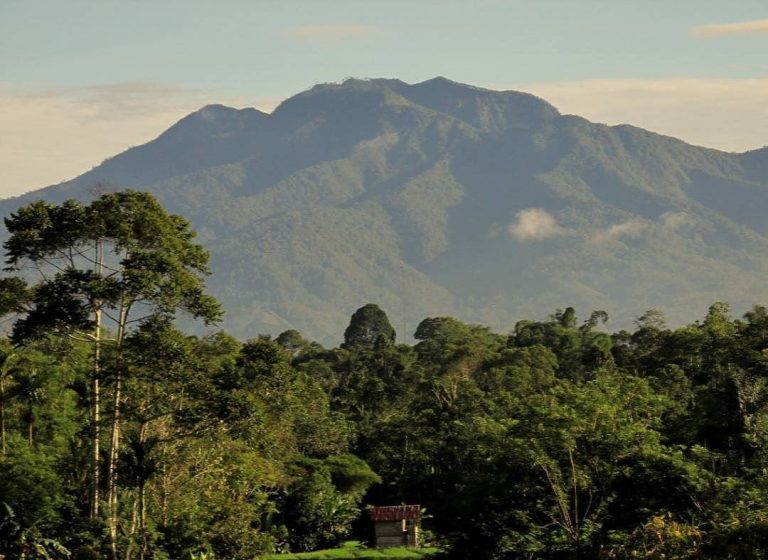 Gunung Pesagi, Panorama Elegan di Puncak Tertinggi Lampung