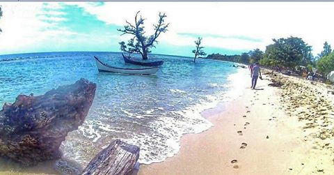 Pantai Pasir Putih Lhok Mee Dengan Pohon Terendam Airnya Yang Sangat Instagenic