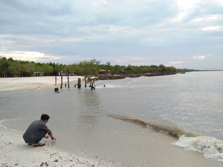 Mengintip Keindahan Pantai Bunga Di Sumatera Utara