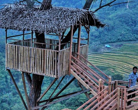 Rasakan Liburan Seru Yang Spektakuler Di Rumah Pohon Laing Park – Sumatera Barat
