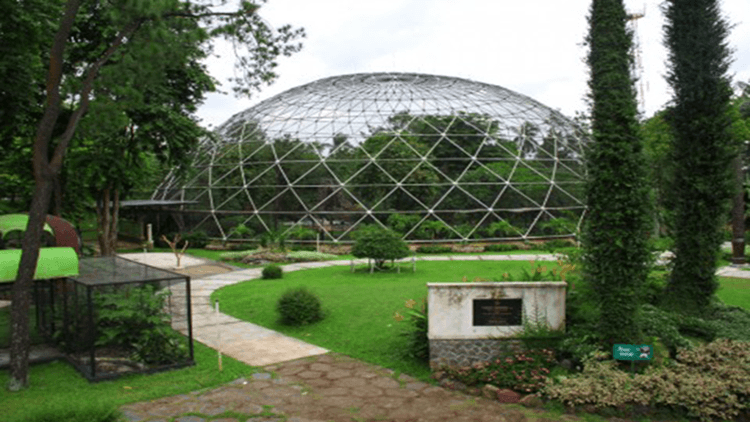  Taman  Rimba Tempat Liburan Favorit di  Kota Jambi  dengan 