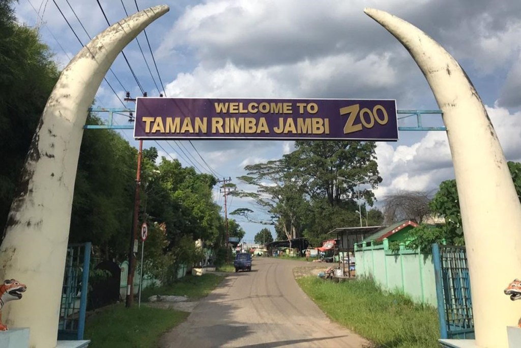 Taman Rimba, Tempat Liburan Favorit di Kota Jambi dengan ...