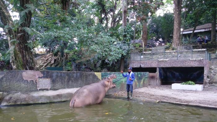 Wisata Sambil Belajar di Kebun Binatang Gunung Tua Sumatera Utara