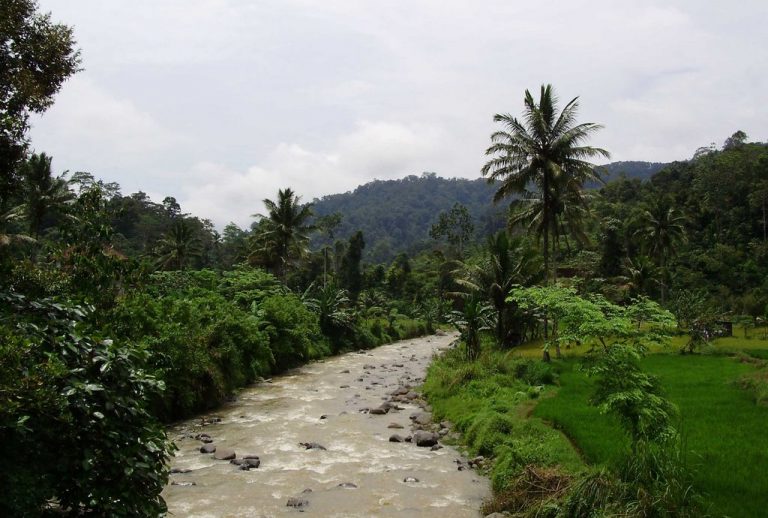 Kubu Perahu – Lampung Barat Tawarkan Jungle Tracking dan Wisata Back to Nature