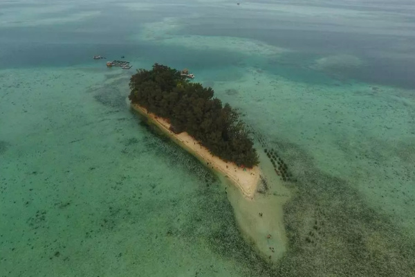 Pulau Semak Daun Tempat Tepat Merasakan Sensasi Kehidupan Alam Yang Sesungguhnya
