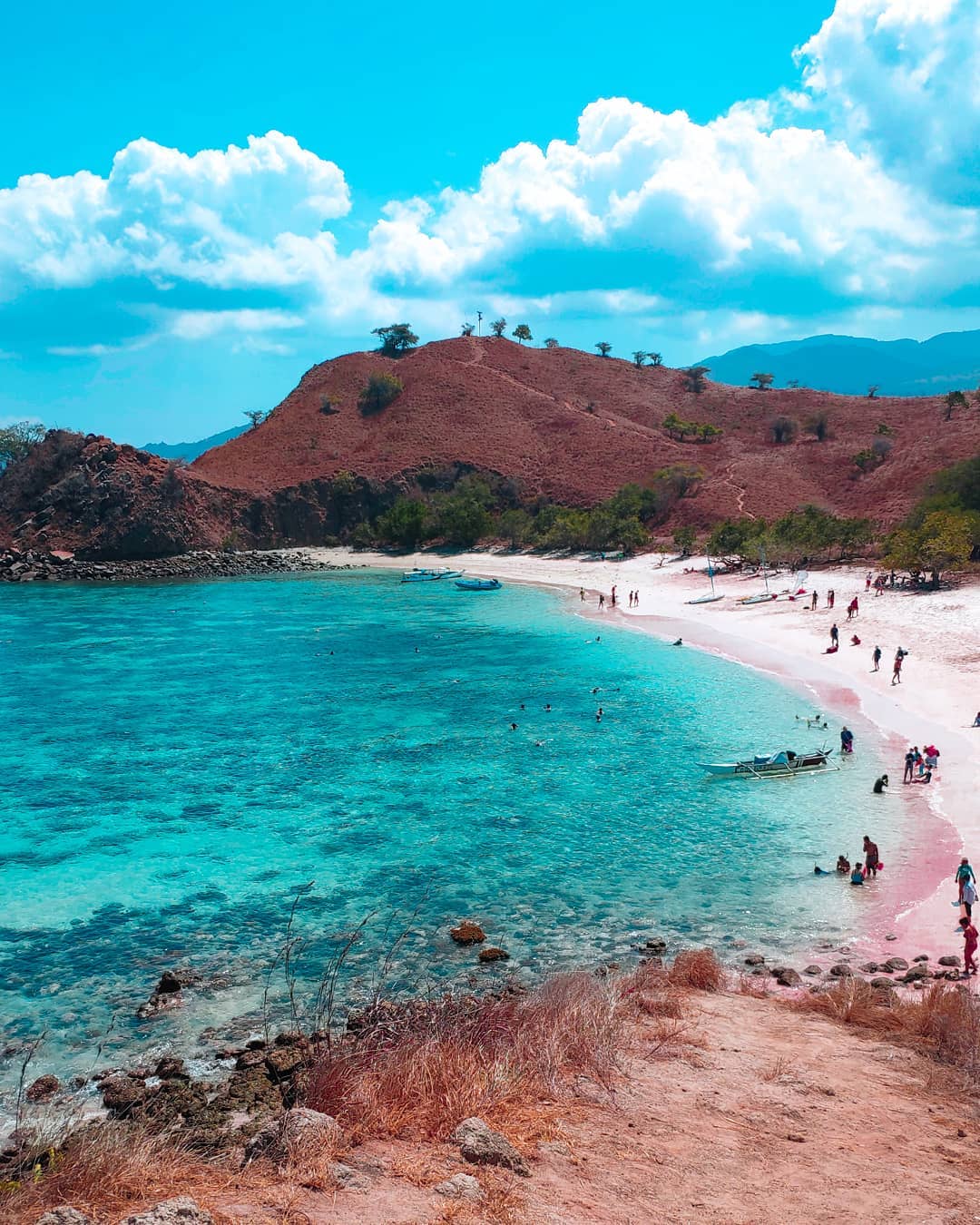 Pantai Pink Pecahan Surga yang Tertinggal di Flores 