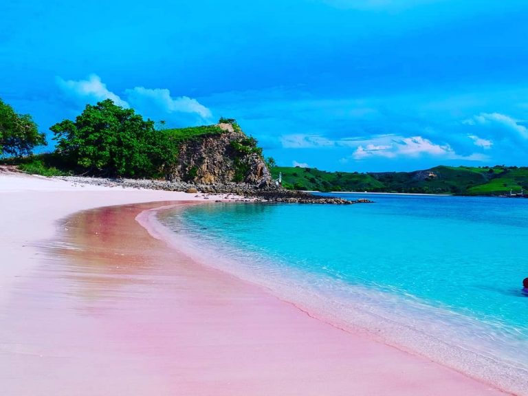 Pantai Pink, Pecahan Surga yang Tertinggal di Flores