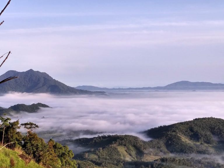 Pesona Negeri Atas Awan Kalimantan Barat Bukit Jamur Bengkayang
