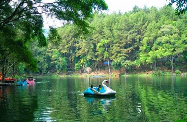 Pesona Desa Wisata Cikahalang Di Bawah Kaki Gunung Ciremai - Destinasi