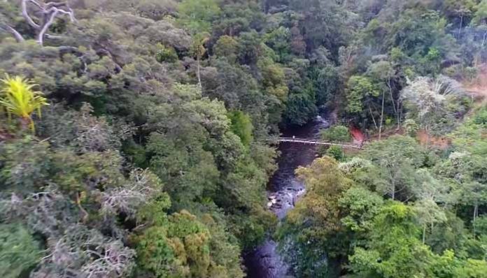 Hutan Wisata Baning Sebagai Satu-satunya Wisata Hutan Tropis Menarik