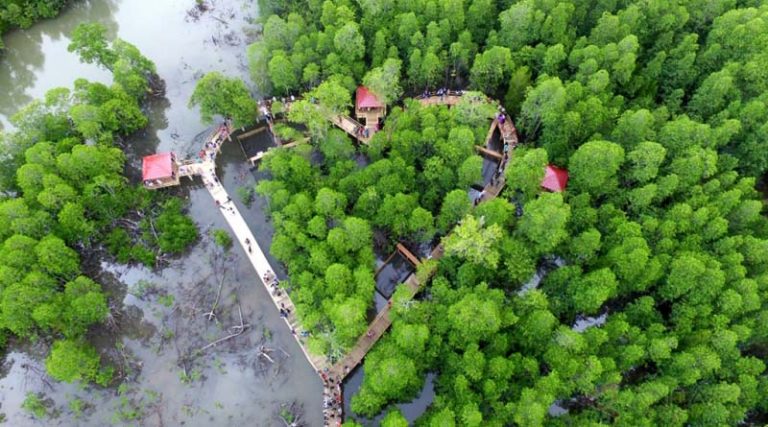Hutan Mangrove Langge, Pengalaman Trekking yang Menyenangkan