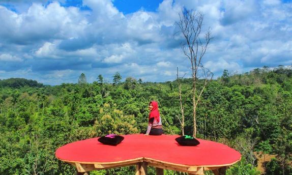 Puncak Saiful Tamburaka, Indahnya Alam Kendari Dari Ketinggian