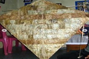 Review Situs Purbakala Suku Muna Gua Liang Kobori Sulawesi Tenggara