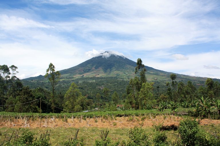 Pesona Indonesia Dari Puncak Gunung Cikuray Via Cikajang
