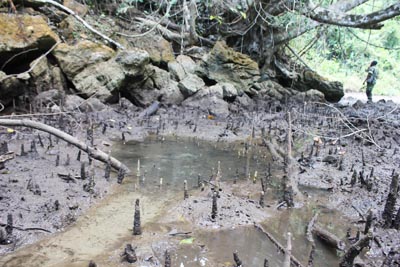 Wisata Sumber Air Panas Perawan di Air Panas Lamokula, Konawe Selatan