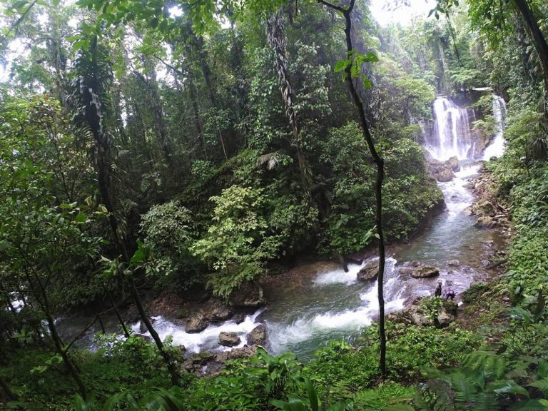 Suasana Traveling Hutan Amazon Ala Air Terjun Wabudori Supiori Papua