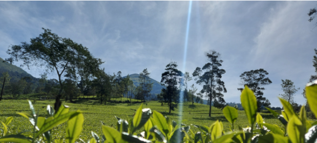 Gunung Kembang Via Blembem, Alternatif Lain Menikmati Dataran Tinggi Dieng