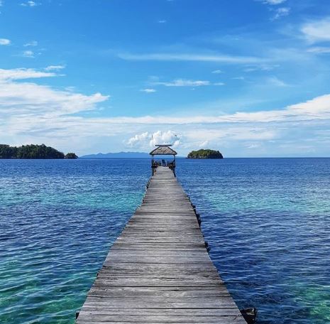 Pulau Kadidiri, Rumah Bagi Berbagai Biota Laut Indonesia