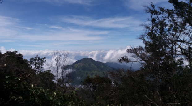 Melihat Keindahan Gunung Lawu Via Cemoro Kandang