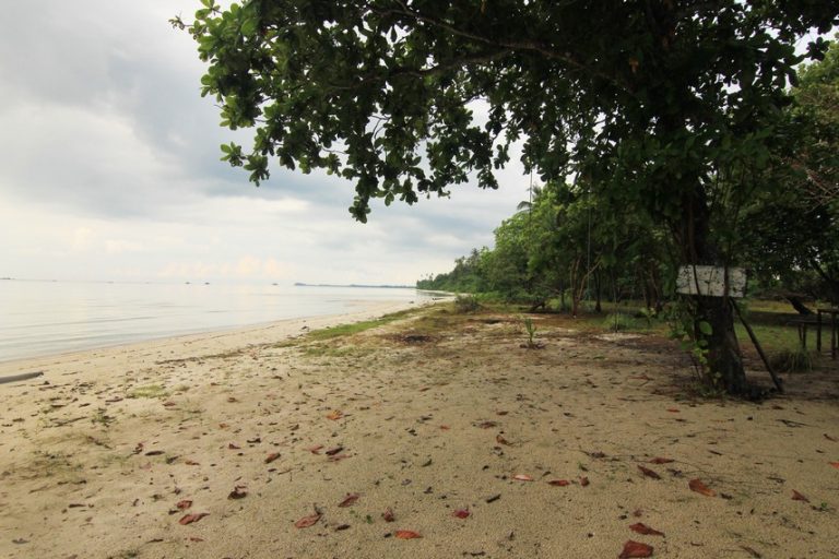 Merasakan Keindahan Surga Dunia Melalui Pantai Tanjung Ketapang