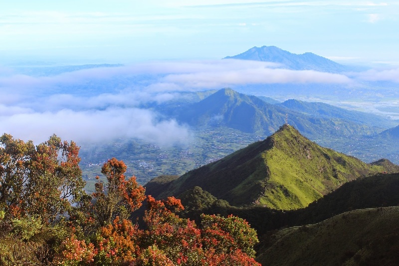 Melihat Sunrise yang Indah Dari Puncak Gunung Merbabu Via Gancik