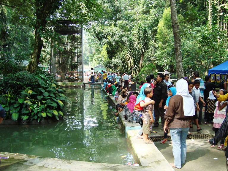 Kebun Binatang Pematang Siantar, Rumah Buaya Tertua di Sumatera