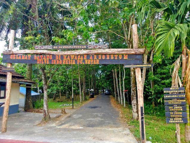 Arboretum Sylva Untan Pesona Hutan Kalimantan Di  Tengah  