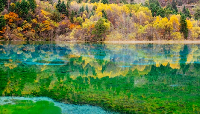 Ilustrasi danau wio