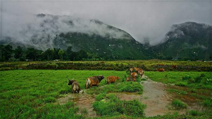 Perjalanan menuju Kampung Wisata Suroba