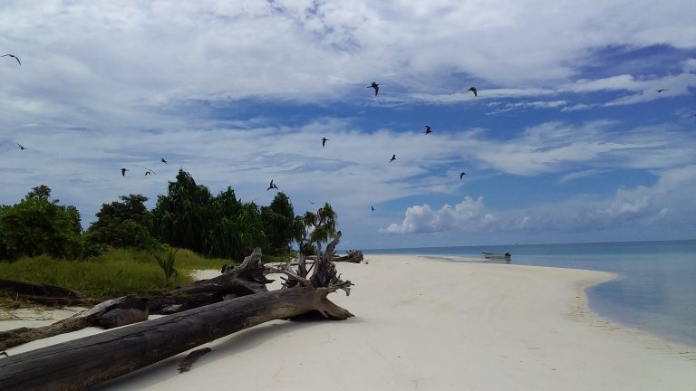 Pulau Brass Pesona Papua Dengan Banyaknya Keindahan di Setiap Sisi