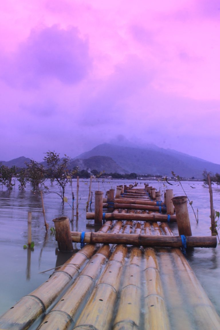 Kampung Blekok, Surganya Burung Air Se-Nusantara