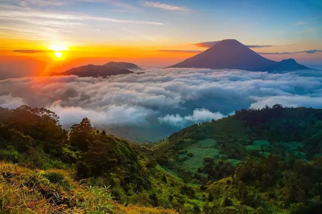 Sunrise Camp Gunung Prau - Camping Ground Dengan Pesona Sunrise Yang ...