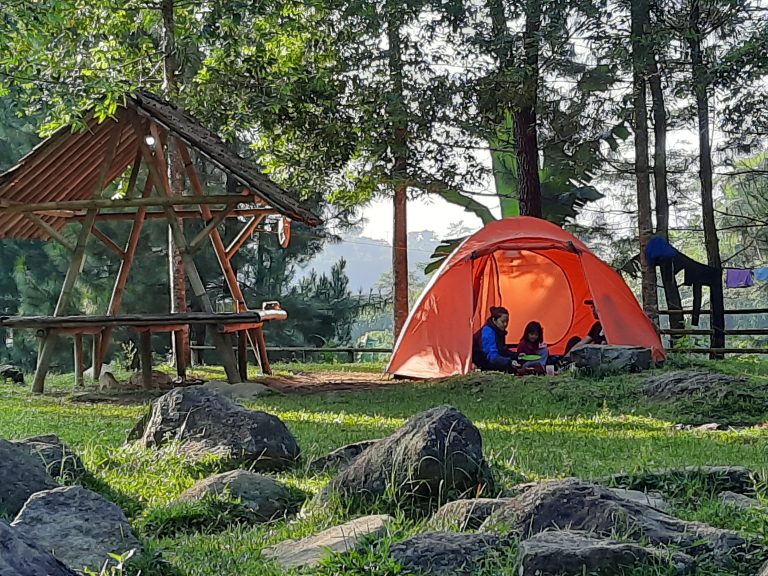 Bravo Camp Sebuah Camping Ground Indah Yang Dulunya Adalah Area Persawahan