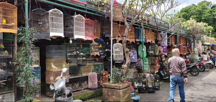 Pasar Burung Satria di Denpasar Utara – Bak Kebun Binatang Mini