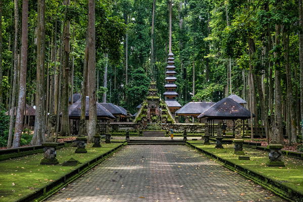 Menikmati Keseruan Berwisata di Hutan Monyet Sangeh Bali