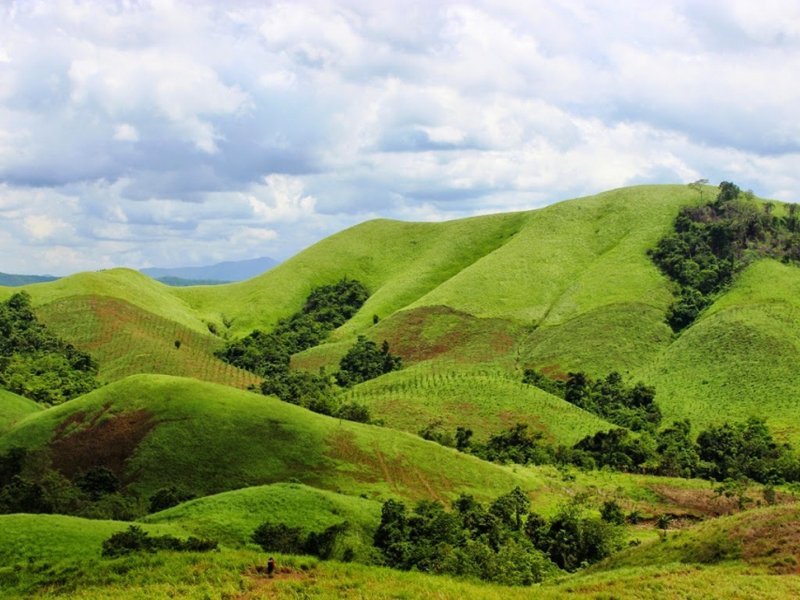 Berselfie Dengan Pemandangan Cantik Khas Bukit Teletubbies Nusa Penida -  Destinasi Travel Indonesia