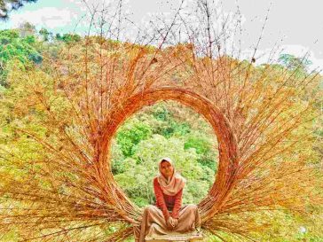 Berkemah Di Hutan Pinus Yang Unik - Puthuk Panggang Welut - Destinasi