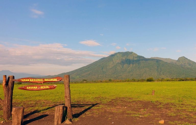 Berkemah Di Savana Bekol – Lokasi Wisata Dengan Keindahan Ala Afrika
