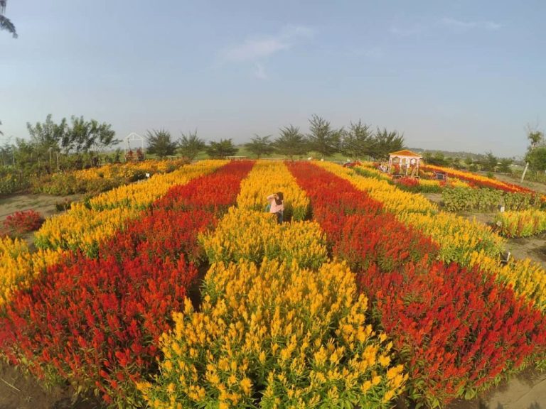 Resoinangun Garden Bantul, Keindahan Sepanjang Jalur Pantai Selatan