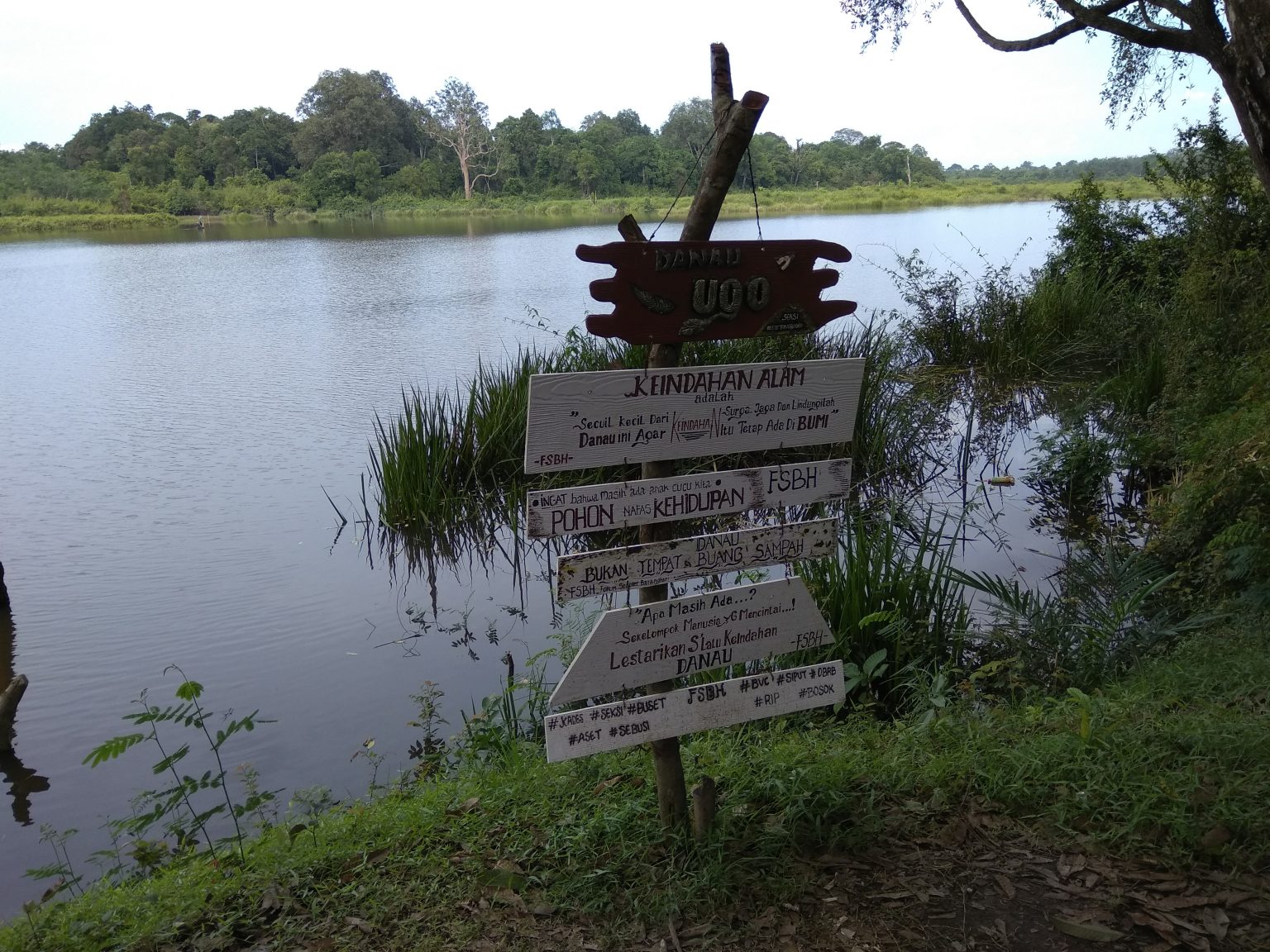 Beginilah Indahnya Danau Ugo di Batanghari Jambi - Destinasi Travel