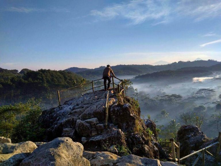 Hutan Pinus Kalilo – Lokasi Wisata Buat Berkemah Dan Menyegarkan Tubuh Yang Lelah