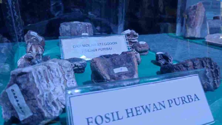 Inilah Situs Tambaksari Ciamis, Tempat Penemuan Aneka Fosil!