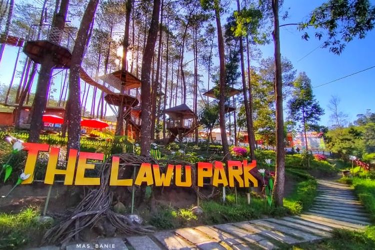 The Lawu Park, Tempat Berkemah Dengan Taman Saljunya Yang Mempesona