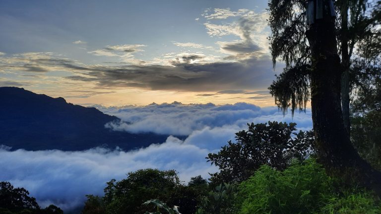 Pongtorra Toraja, Spot Glamping Dengan Pemandangan Bak Negeri Di Atas Awan