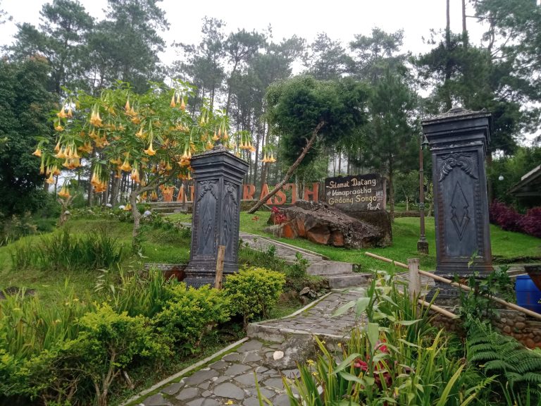 Menenangkan Pikiran Dengan Berkemah Di Vanaprastha Gedong Songo Park