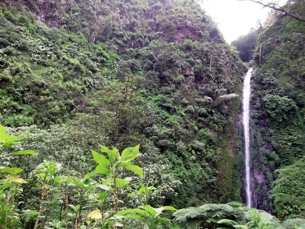 Air Terjun Tancak_1